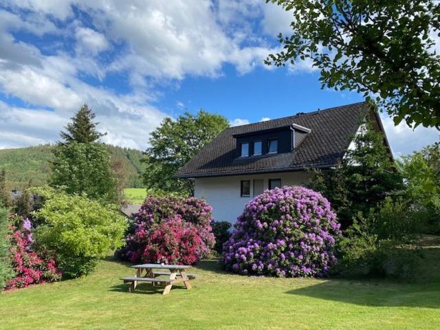 Auf Der Platte Apartment Winterberg Exterior photo