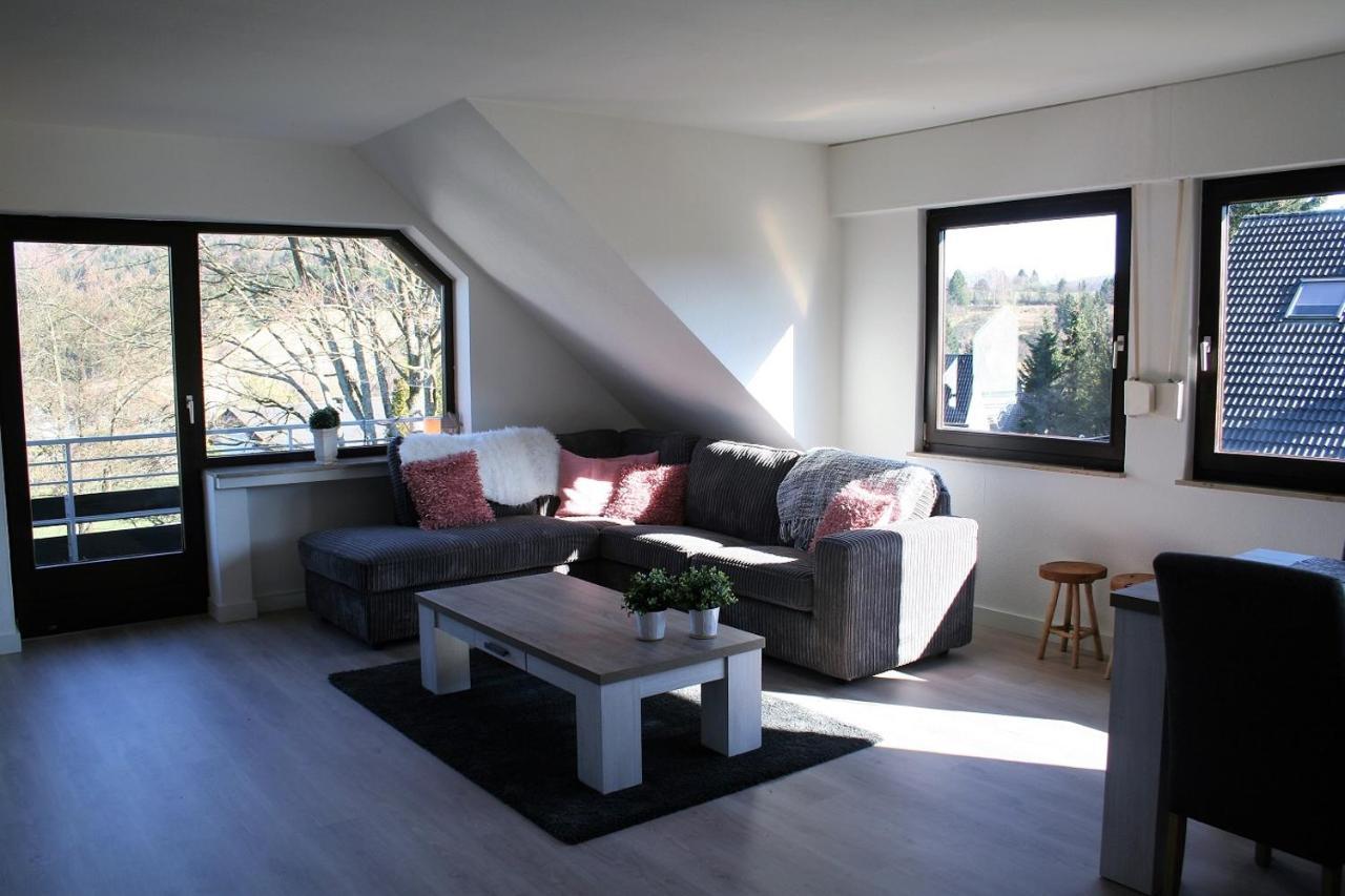Auf Der Platte Apartment Winterberg Exterior photo